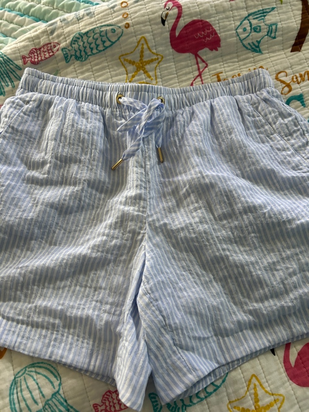 Lilly Pulitzer Light Blue & White Striped Drawstring Athletic Shorts NWOT